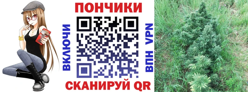 Бошки марихуана THC 21% Торопец